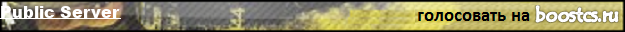 Public Server