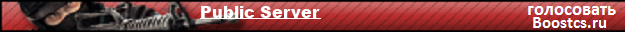 Public Server